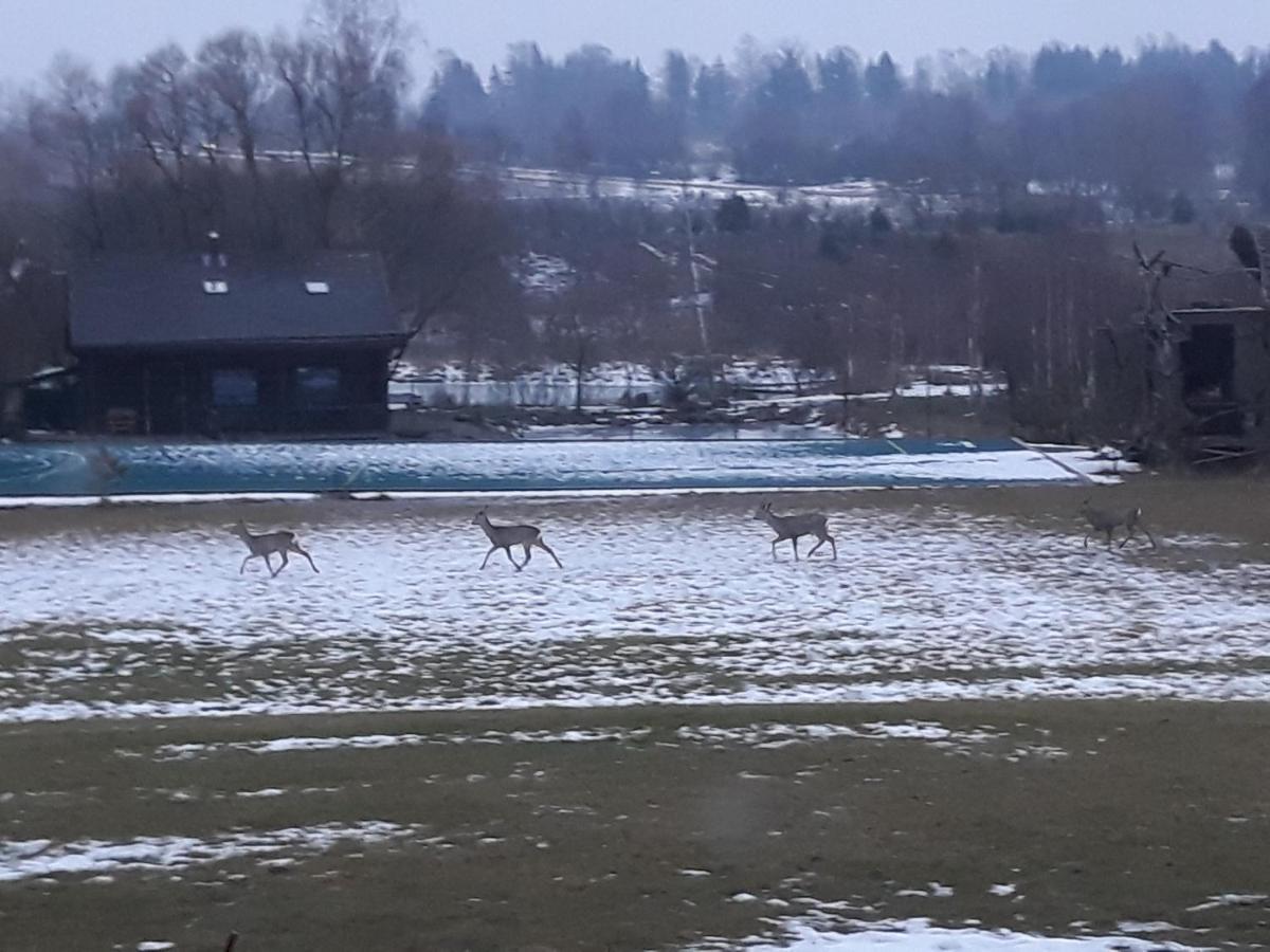 Villa Akmeninis Bebras Zemaiteliai Esterno foto